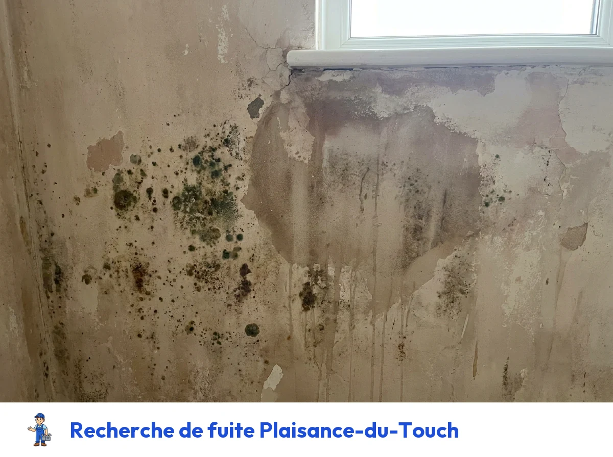 Recherche de fuite à Plaisance-du-Touch
