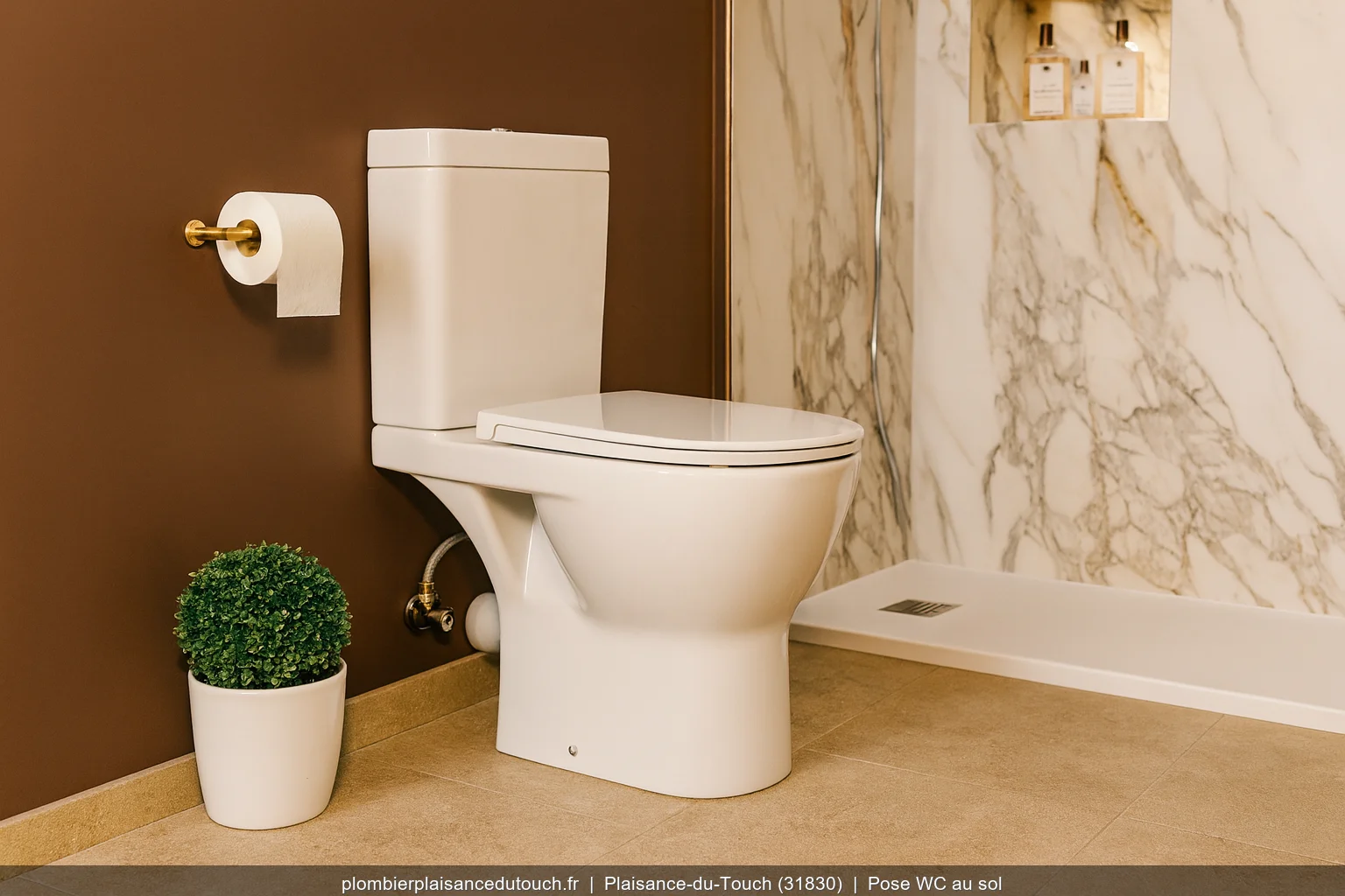 Pose WC au sol Allia Paris par plombier a Plaisance-du-Touch (31830)